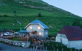 Guesthouse Letnja Basta